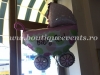 carucior botez